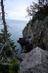 Maine Coast 